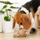 WHOLESALE SQUIRREL POP//ENRICHMENT DOG TOY M