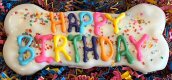Colorful Happy Birthday Dog Bones