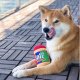Snif For Dogs LG