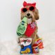 Snif For Dogs LG