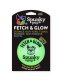 Fetch and Glow Ball Large