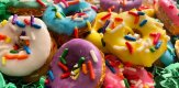 Mini 🍩 dog treats