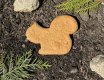 Display Crate REFILL, Cookies - Pumpkin Squash Squirrel