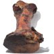 Smoked Beef Marrow Bones Medium Bone
