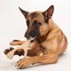 BetterBone MEDIUM - Natural, No Nylon, Softer Than Nylon ECO Unflavored