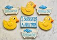 Spaw Day Cookies I Survived a Nail Trim Cookie