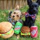 Dr Pooper For Dogs LG