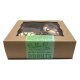Christmas Donut Box