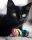 Spring Eco Toy Rainbow