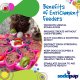 Mandala Design eTray Enrichment Tray for Dogs Green