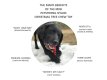Christmas Tree Durable Nylon Chew Toy