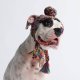 Knit Pom Pom Dog Beanie Hat - Kaleidoscope L (45-100lbs/20-50kg)