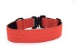 Burnt Orange Premium Dog Collar Medium