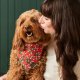 Rifle Paper Co. x TFD Mistletoe Dog Bandana Medium