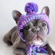 Knit Pom Pom Dog Beanie Hat - Purple & Lavender S (10-15lbs/4.5-7kg)