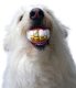 Humunga Bling - Durable Rubber Pet Chew Toy for Dogs Mini