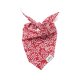 Noel Christmas Dog Bandana XS