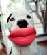 Humunga Lips Junior