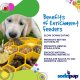 Honeycomb Design eBowl Enrichment Slow Feeder Bowl for Dogs Yellow
