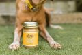 Pumpkin Spice Wag Butter 13oz Jar