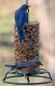 Bugs, Nuts, & Fruit Cylinder - Small