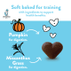 Pumpkin Nut Par-tay Soft Baked Dog Treats