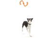 Bumi® Dog Toy for Chew, Tug, and Fetch Granny Smith