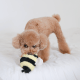 WHOLESALE BEE POP