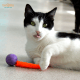 Wiggly Pong - Cat Toy Plastic Pong Ball Loose pongs - no packaging