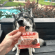 Turkey Chips Snack Packs for Dogs (24)