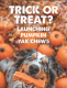Pumpkin Yak Milk Chews - Large Sized 5 Pounds