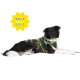 Discontinued Stretch Fleece - On Sale! Eggplant