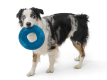 Sailz® Dog Flying Disc Fetch Toy Surf
