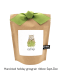 Garden in a Bag | Catnip | Great Christmas Gift idea