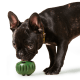Pupsicle Pops Chicken