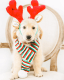 Dog Antlers Large