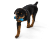 Drifty® Dog Toy for Chew, and Fetch Surf