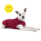 Discontinued Stretch Fleece - On Sale! Fuchsia