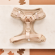 Theo Embroidered Teddy Adjustable Neck Harness S