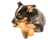 Qwizl® Dog Puzzle Treat-Dispensing Enrichment Toy Tangerine