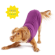 Discontinued Stretch Fleece - On Sale! Fuchsia