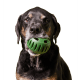 The Pupsicle X-Large
