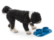 Drifty® Dog Toy for Chew, and Fetch Hibiscus