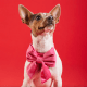 Hot Pink Velvet Lady Dog Bow Large