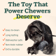 The 'Power Chewer' Pupsicle Large