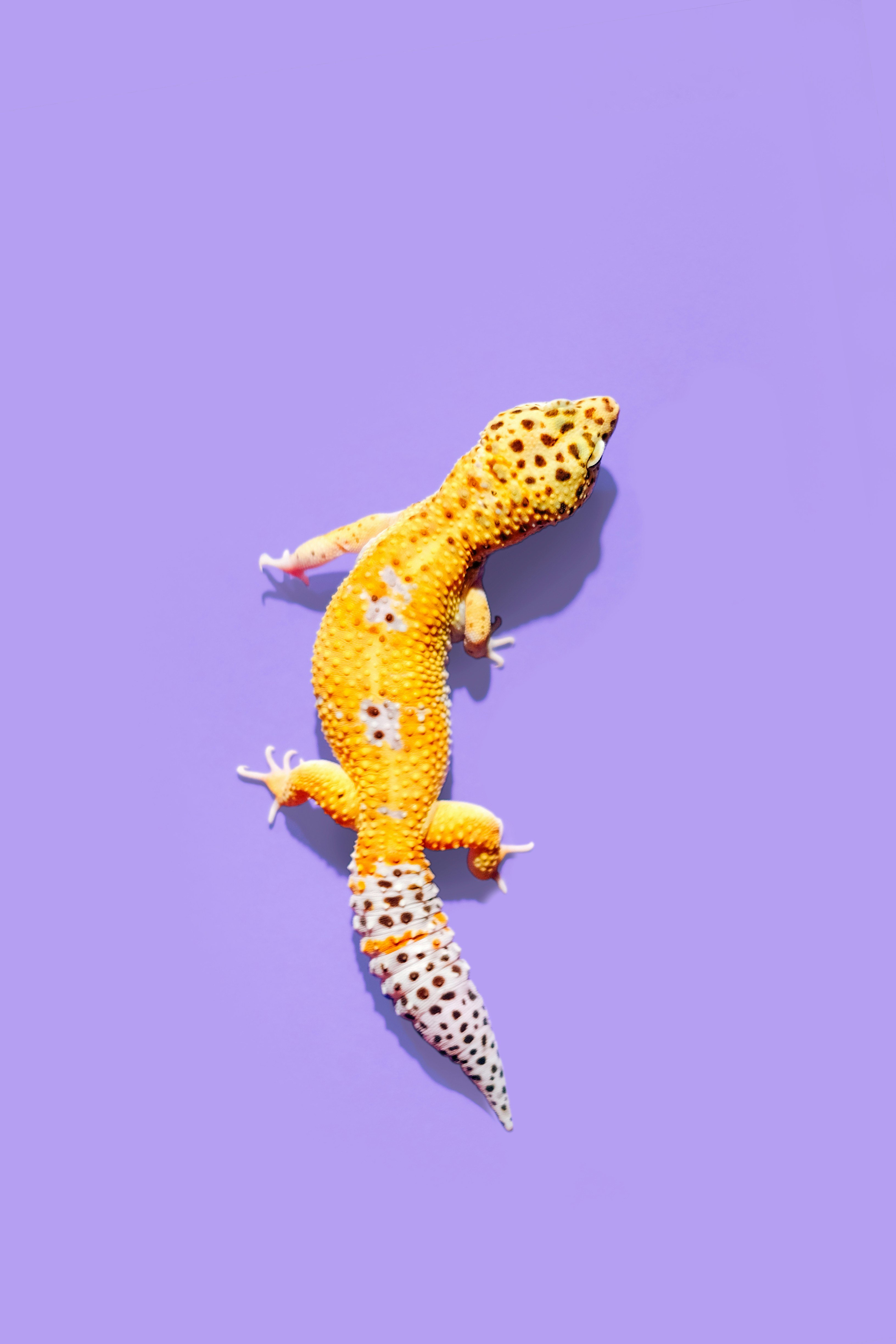 Unique Finds