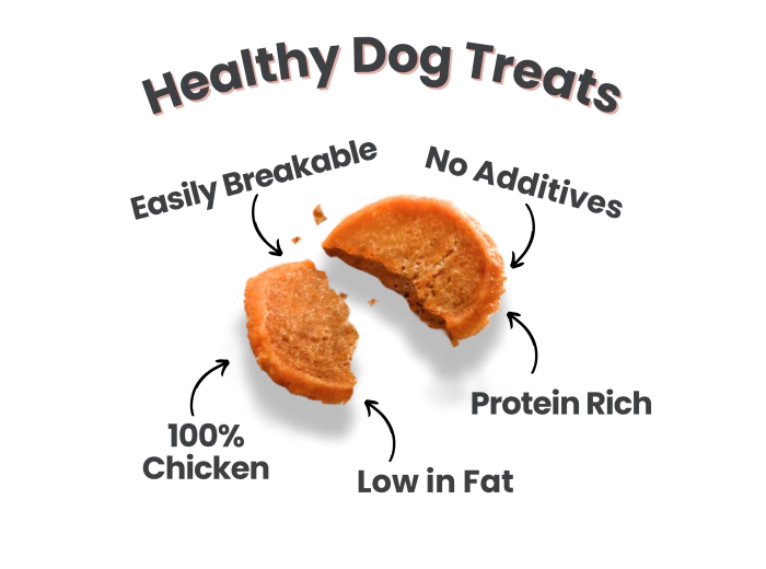 Holiday Dog Treat Snack Pack Bundles (24) 24 Individual Holiday Turkey Snack Packs