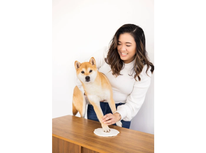 Pet Memory Box & Pawprint Impression Kit Espresso