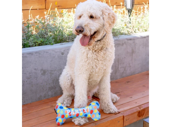 Party Time Bone Blue For Dogs LG