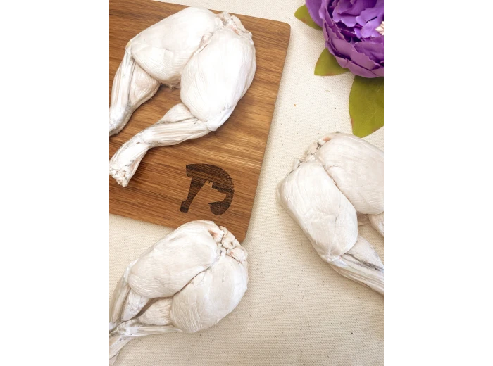 Freeze-dried Frog Legs - LARGE